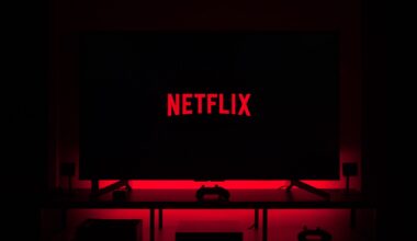netflix password sharing crackdown